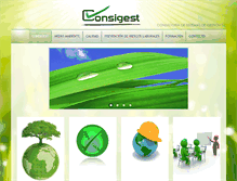 Tablet Screenshot of consigest.com